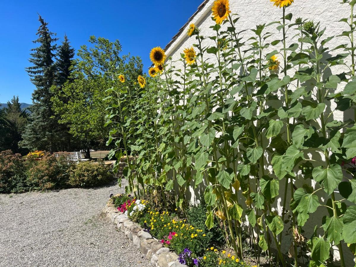 Le Cheval Blanc Bed and Breakfast Serres  Εξωτερικό φωτογραφία